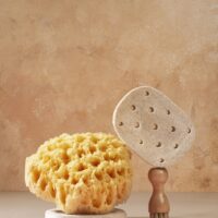 Esponja vegetal natural reutilizable para limpieza ecológica